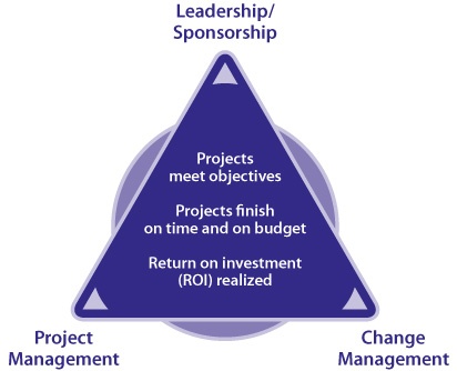 project triangle strategy platforms