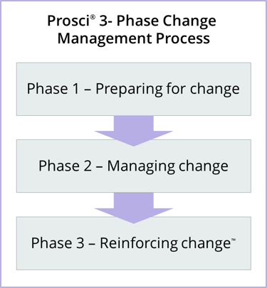 Integrating Change Management at the Project and Individual Levels