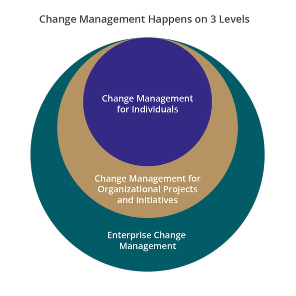 Venn diagram showing the three levels of change management. 