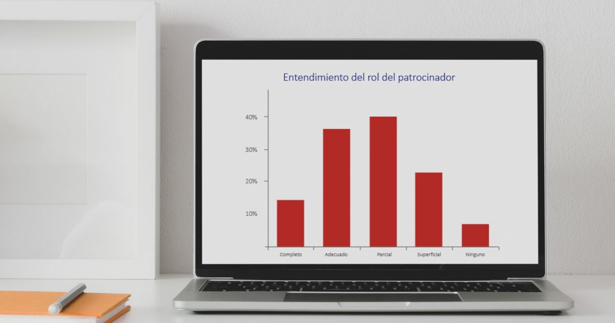 Entendimiento del rol del líder ejecutivo